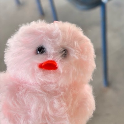 🧸💌