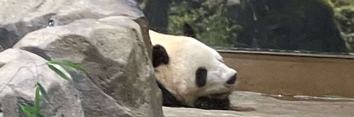 杞憂