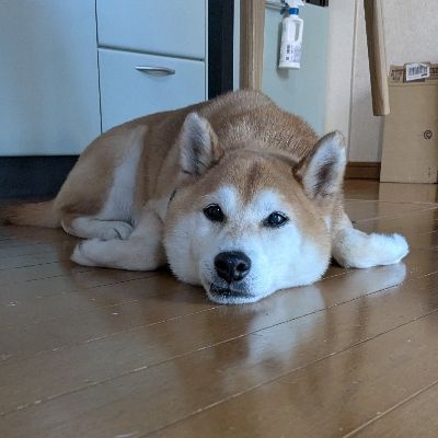 くぬ