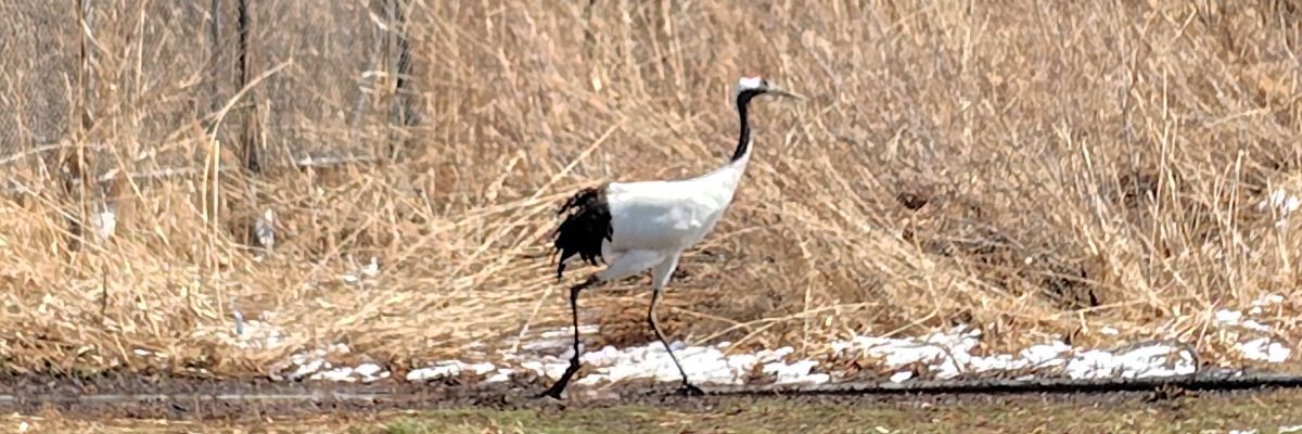 寝る前の読書家