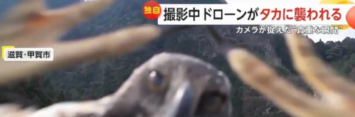 ペョ