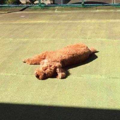 よう