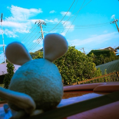 梅もずく