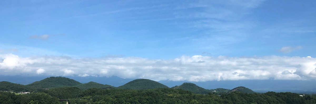 もふもふと読書