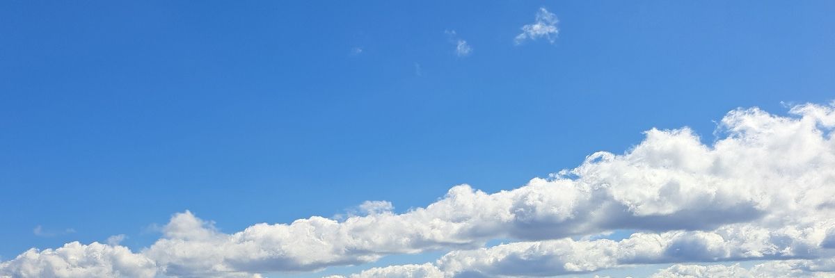 かもめ通信