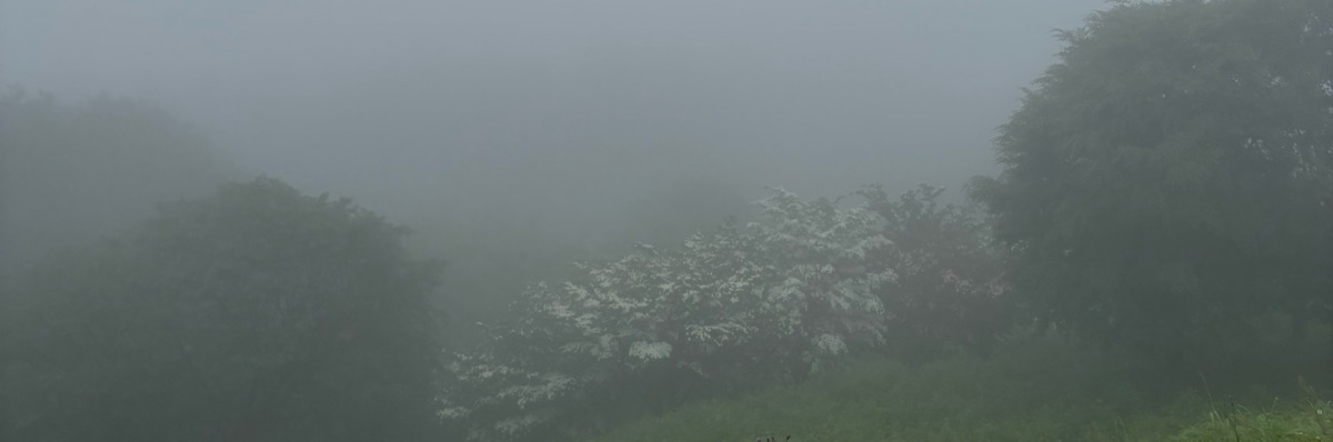 雨