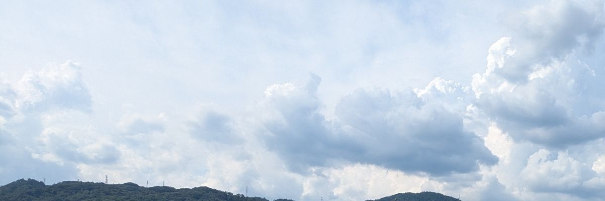 ユウ_夲鷗