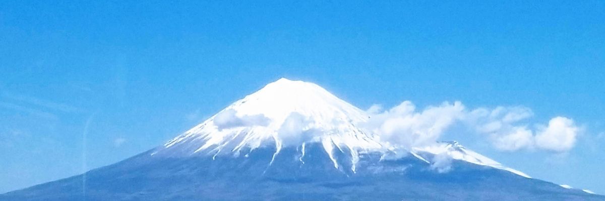 132のゅゆゆ