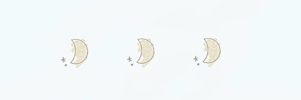 うさぎねこ