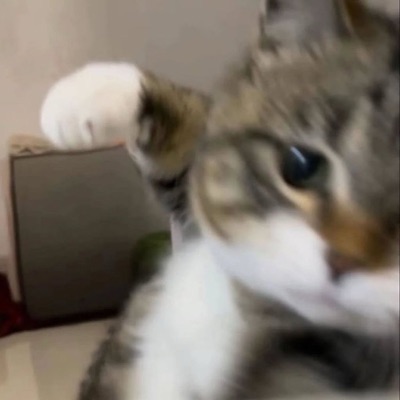 あにょん