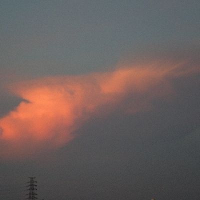 おかゆ