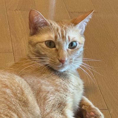 麓潭