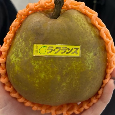 君は焦んがりトースト