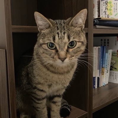 そら