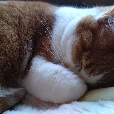 釣り好きおじさん