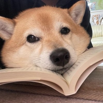 トンちゃんママ