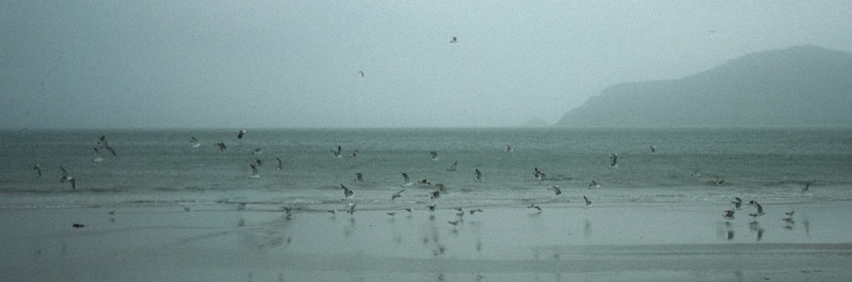 いつだって花束を添えて