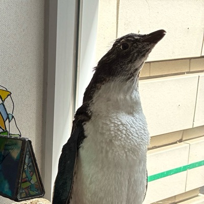 ペロブスカイト