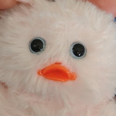 モコ子