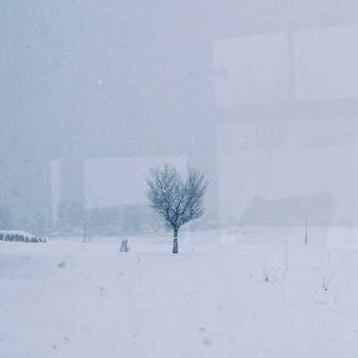 貸し出し期間は２週間