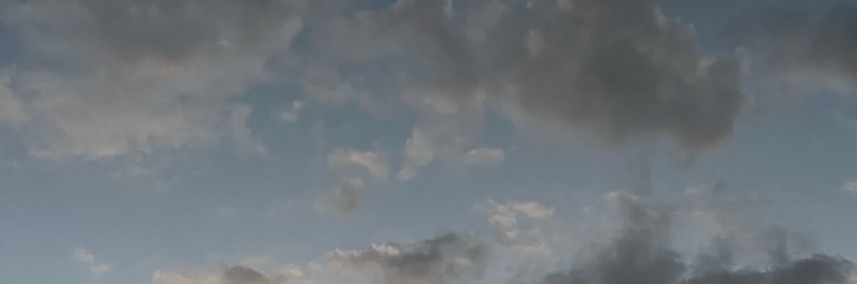 気まぐれリーダー