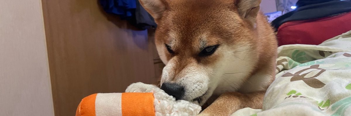 tmp22