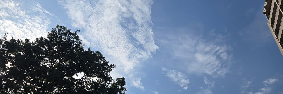 井戸底カエル🐸