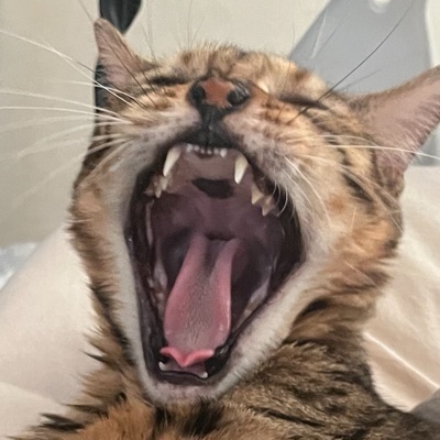 望