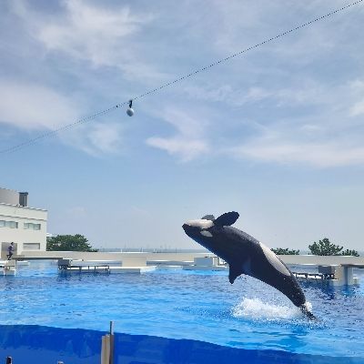 いいの
