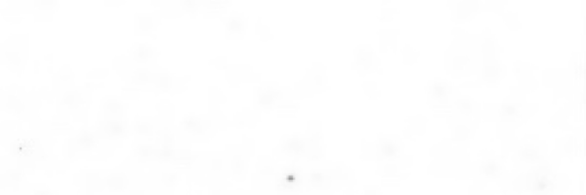 貸し出し期間は2週間