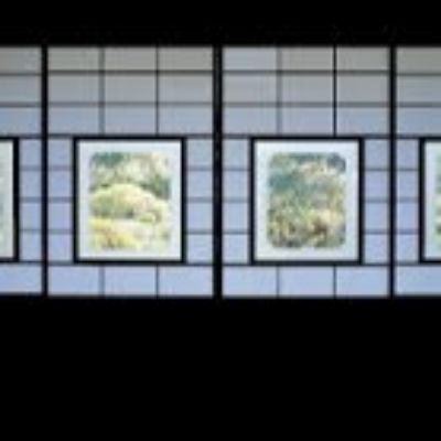 藍山花