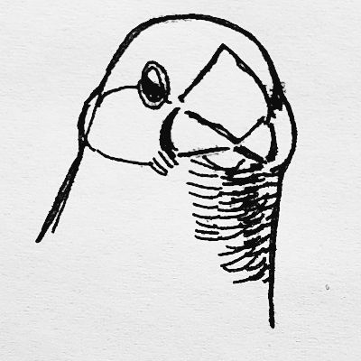 はまち