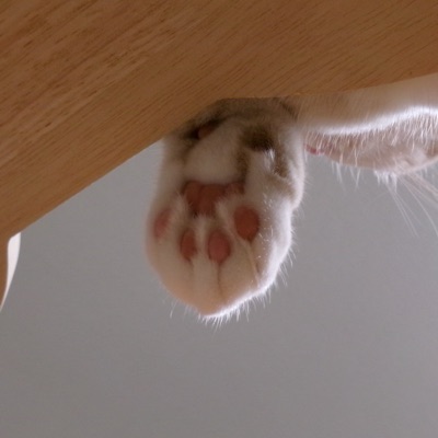 かに