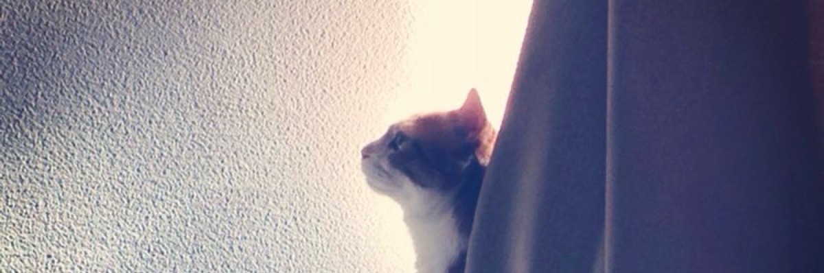 ジョゼ