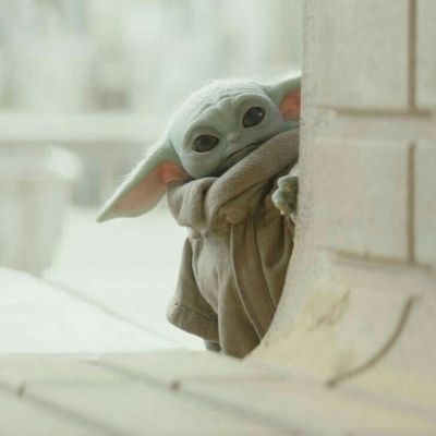 きたっち