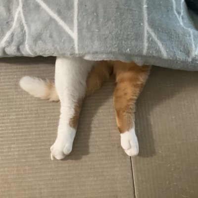 なおみん