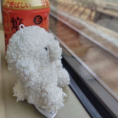 ひつじ