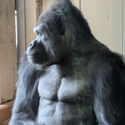 波良壮真