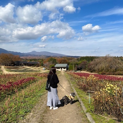 あや