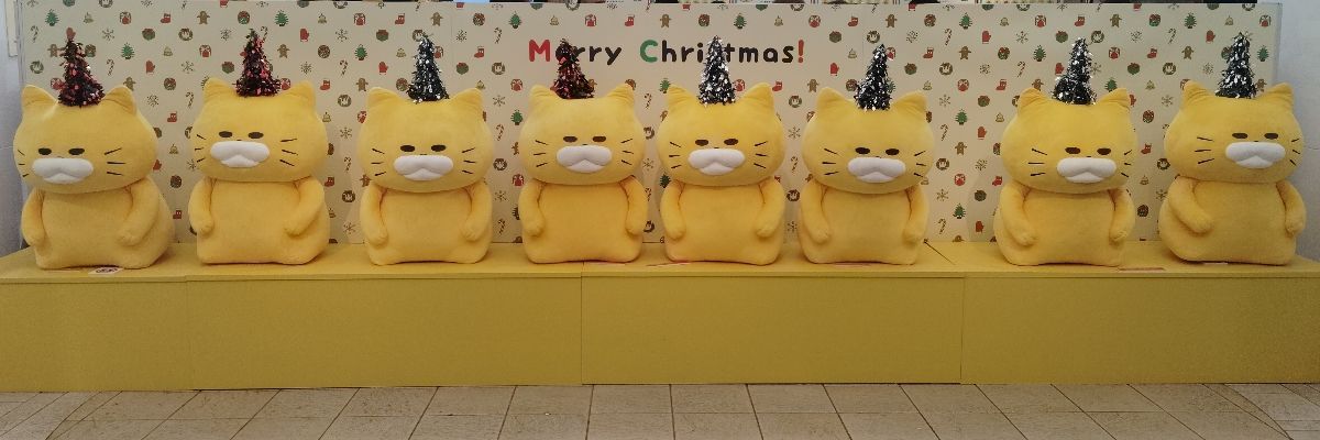 ミズキ