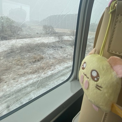 朝川