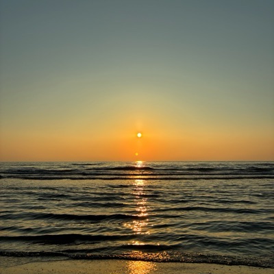 海月