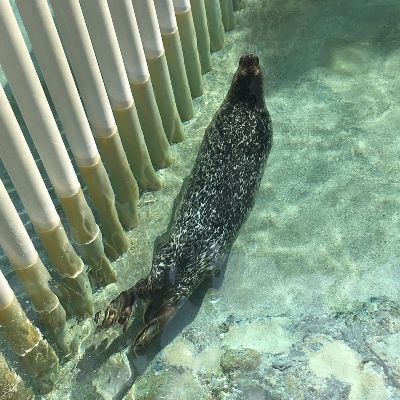 ちかま