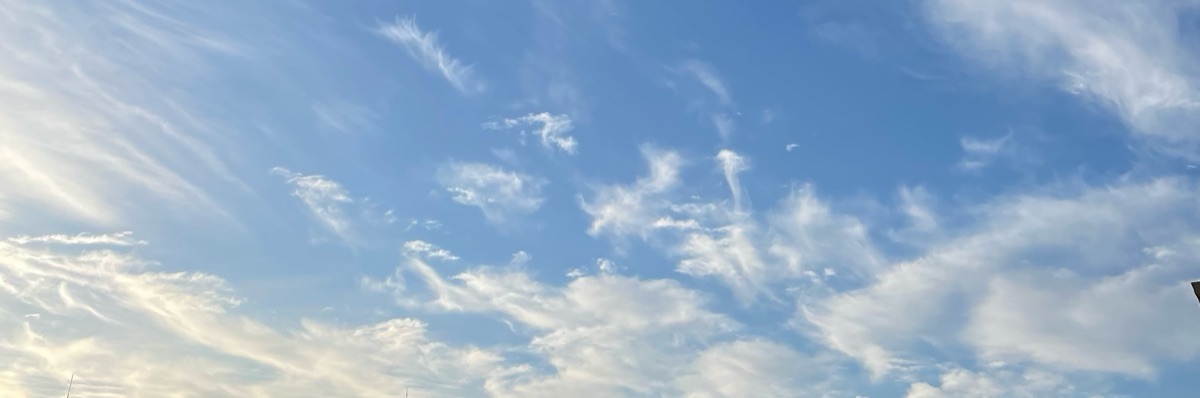 積読本を減らしたい