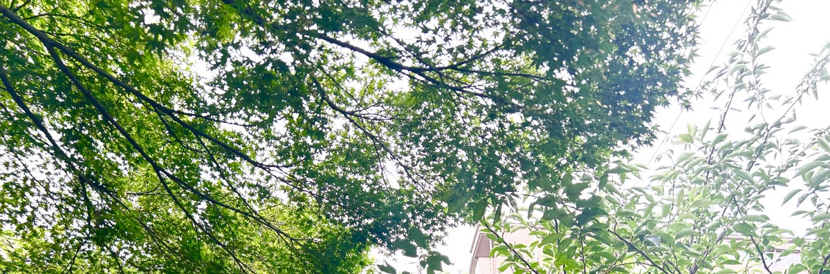骨