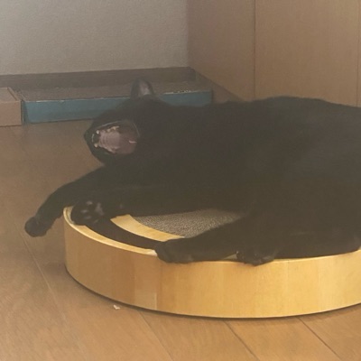 akamatie