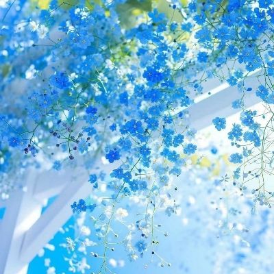 海ト春