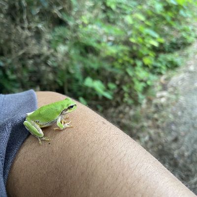 れいちゃん