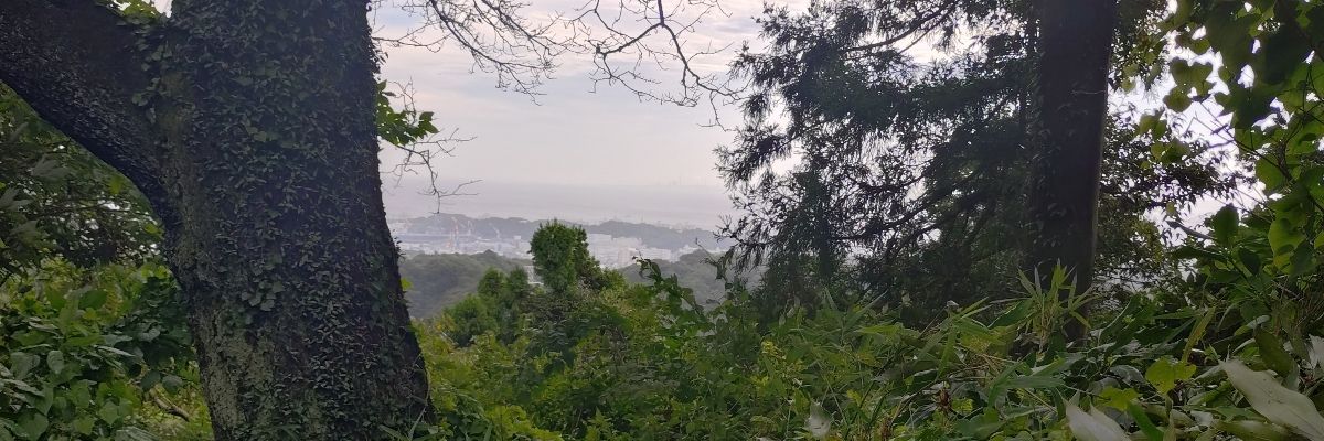 めざせ蛭ヶ岳
