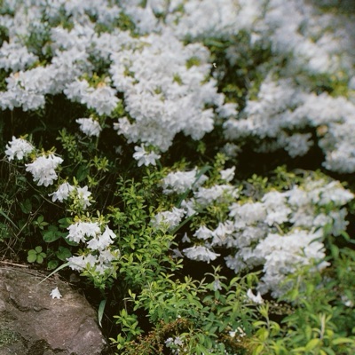 睡
